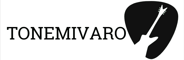 tonemivaro.com