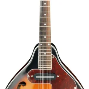 Beställ idag Ibanez M510E-BS