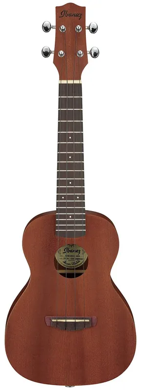 Kampanj Ibanez UKC100