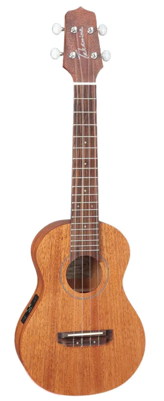 Takamine EGU-C1 Outlet
