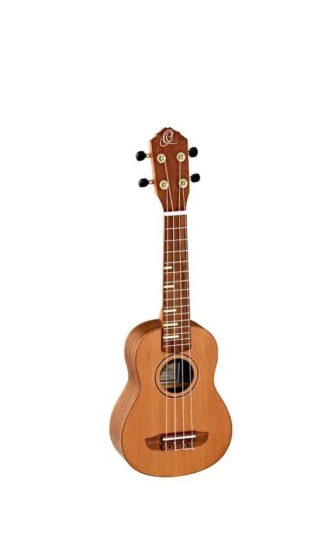 Ortega RUTI-SO Sista chansen