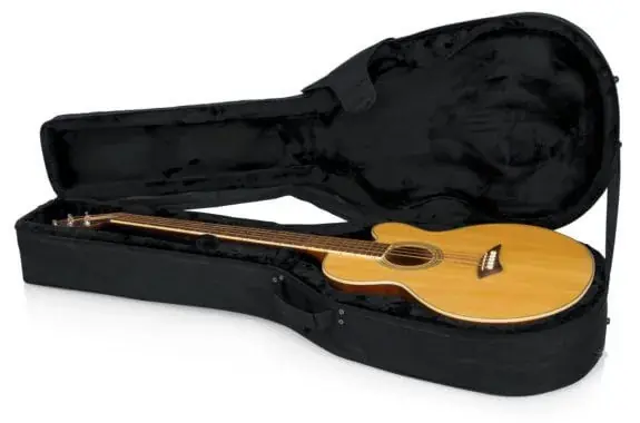 Billig Gator GL-AC-BASS