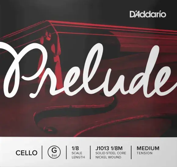 D'Addario J1013 1/8M Kundfavorit