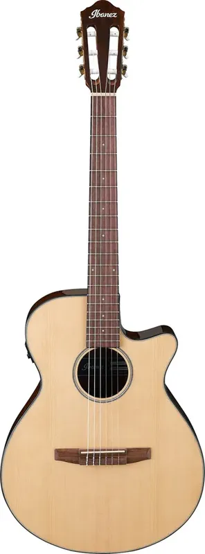 Nedsatt pris Ibanez AEG50N-NT