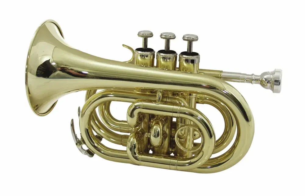 Dimavery TP-300 Bb Pocket Trumpet, gold Rea