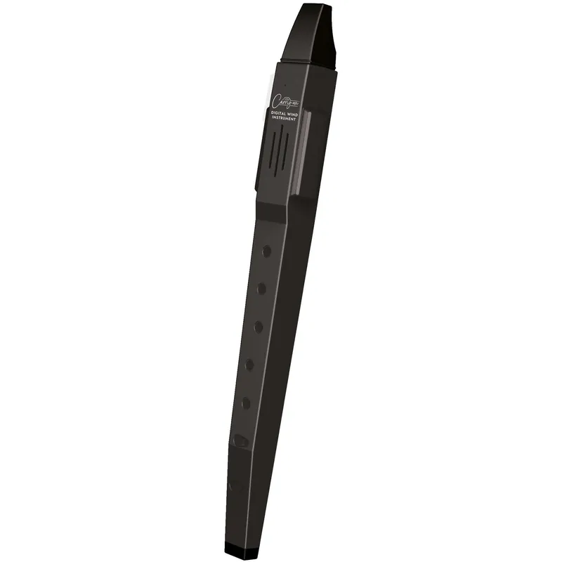 Sista chansen Carry-On Digital Wind Instrument Black Digital Wind Instrume