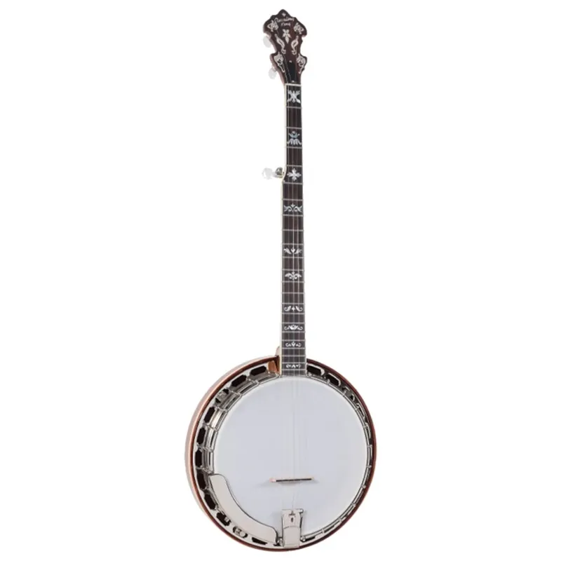 Recording King Elite Flying Eagle 5-String Banjo with Arm Re Endast idag
