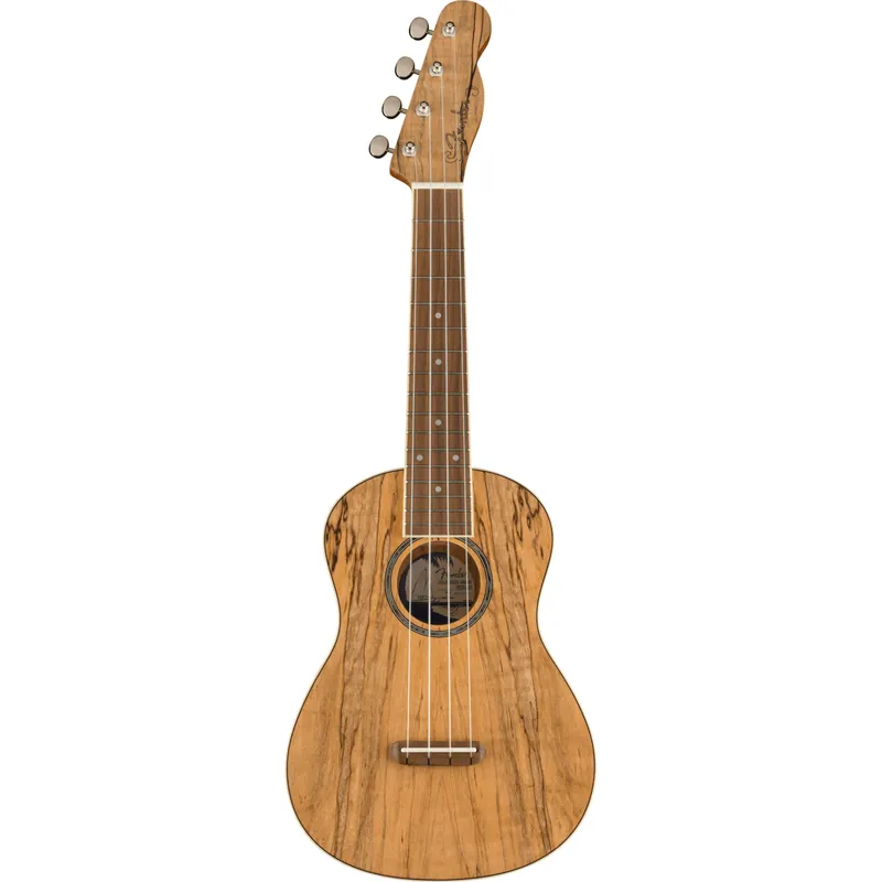 Fender California Coast Zuma Exotic Spalted Maple Concert Uk Begränsat erbjudande