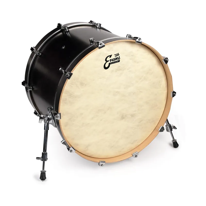Expressleverans Evans BD20CT Calftone 20″ bass