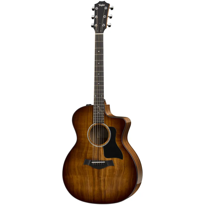 Nyhet Taylor 224ce-K DLX